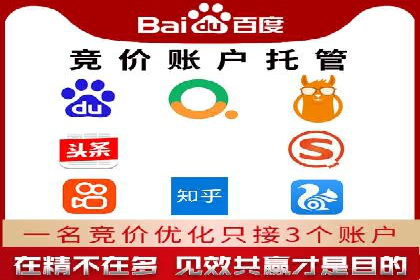 经典案例：SEM代运营服务公司的成功之路